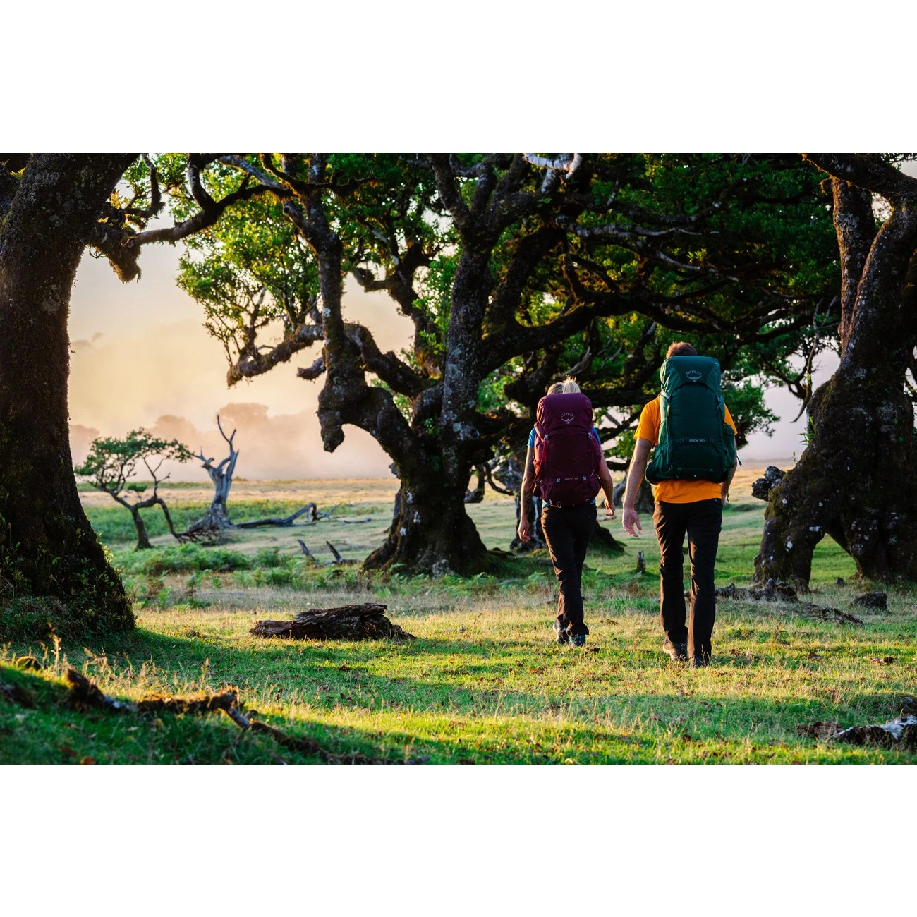 Osprey Rook 65 Backpack - Black 13 Osprey Rook 65 Backpack - Black - Image 11