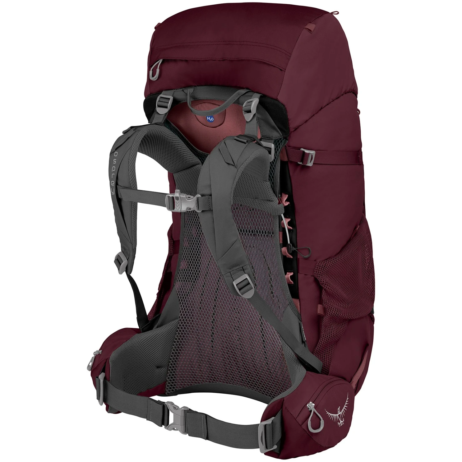 Osprey Renn 65 - Women's Backpack - Aurora Purple 4 Osprey Renn 65 - Women's Backpack - Aurora Purple - Image 2