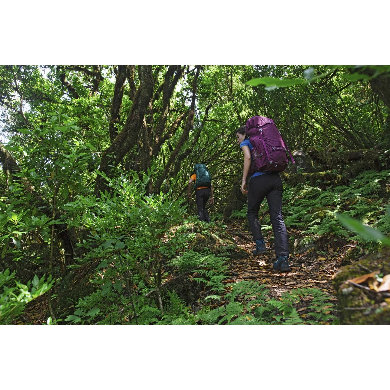 Osprey Renn 65 - Women's Backpack - Aurora Purple 14 Osprey Renn 65 - Women's Backpack - Aurora Purple - Image 12