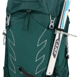 Osprey Tempest 30 Women's Backpack - Jasper Green -Osprey b24 6699 10002734 7 1033572 2