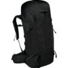 Osprey Talon 55 Backpack 2 Osprey Talon 55 Backpack -Osprey iview 5044239 004 pic1