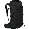 Osprey Talon 36 Backpack 2 Osprey Talon 36 Backpack -Osprey iview 5044276 005 pic1