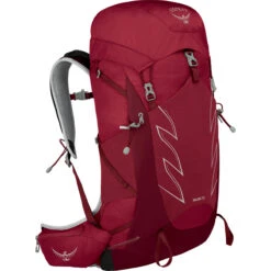 Osprey Talon 33 Backpack