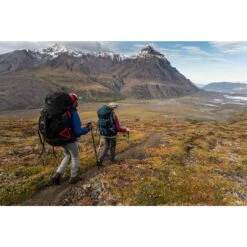 Osprey Aether Plus 60 Backpack - Axo Green - S/M -Osprey osprey aether plus 100 axo green 2 1118008 3