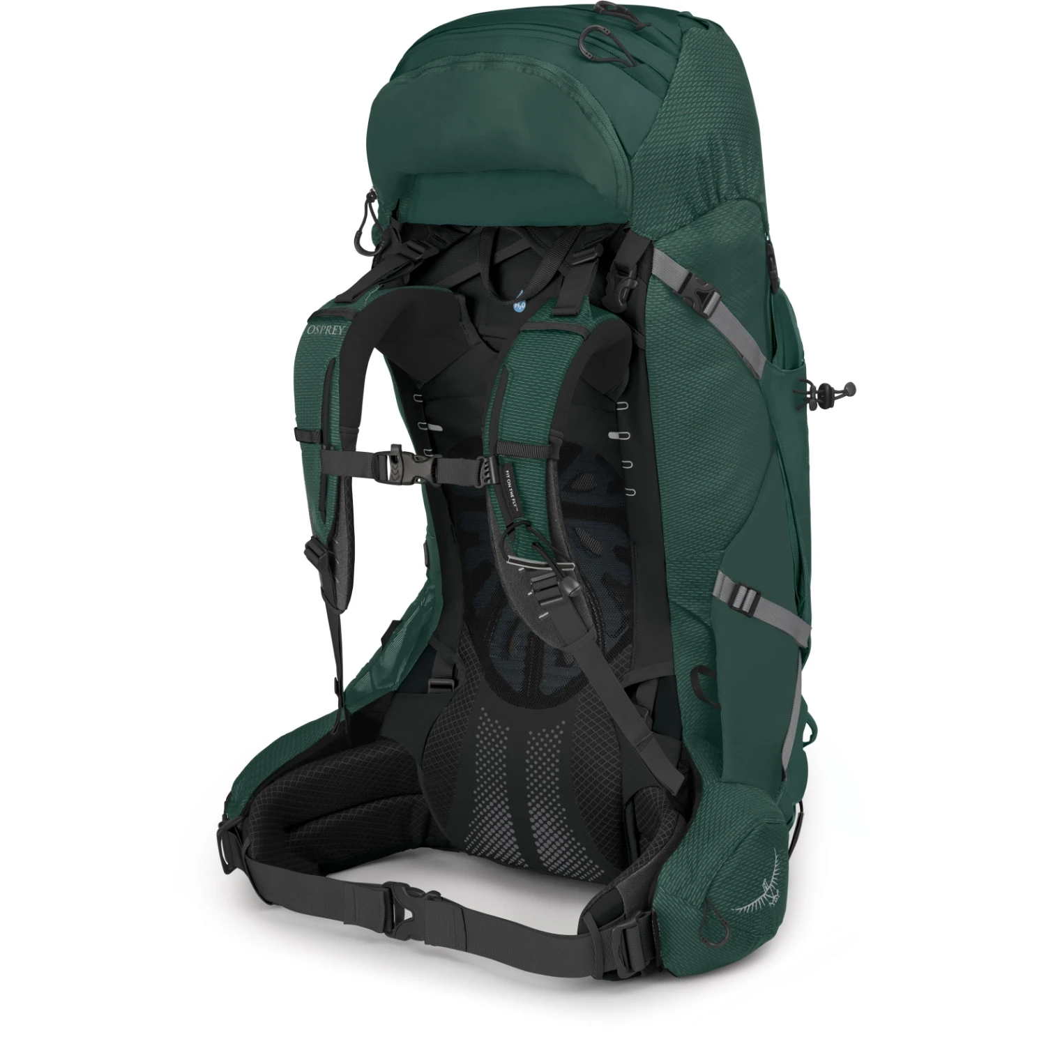 Osprey Aether Plus 60 Backpack - Axo Green - L/XL 4 Osprey Aether Plus 60 Backpack - Axo Green - L/XL - Image 2
