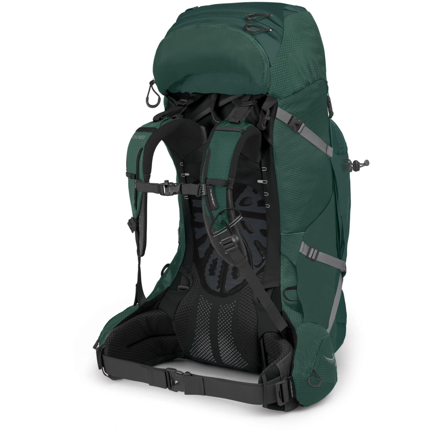 Osprey Aether Plus 70 Backpack - Axo Green - S/M 5 Osprey Aether Plus 70 Backpack - Axo Green - S/M - Image 3