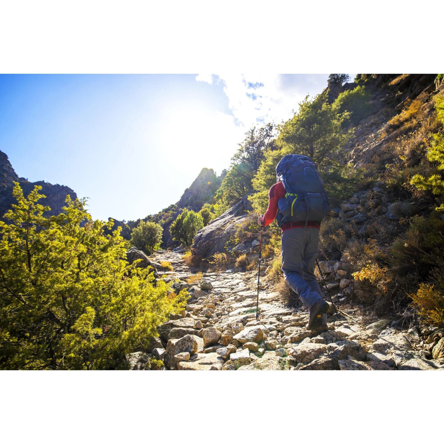 Osprey Atmos AG 50 Backpack - Mythical Green - S/M 14 Osprey Atmos AG 50 Backpack - Mythical Green - S/M - Image 12