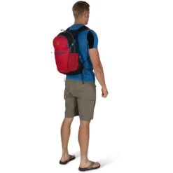 Osprey Daylite Plus Backpack - Dream Purple -Osprey osprey daylite 70 1256279