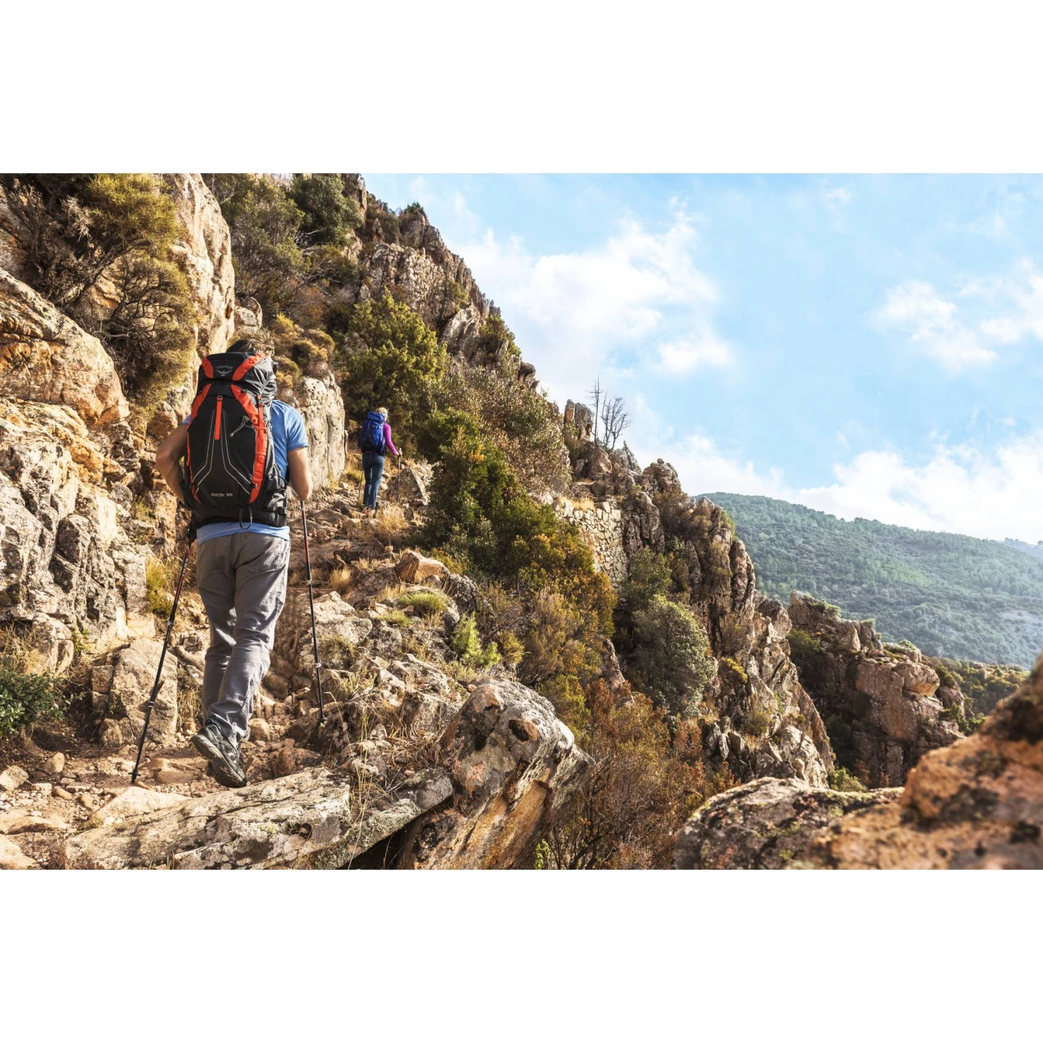 Osprey Exos 48 Backpack - Blue Ribbon 15 Osprey Exos 48 Backpack - Blue Ribbon - Image 13