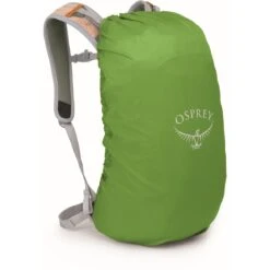 Osprey Hikelite 18 Backpack - Pine Leaf Green -Osprey osprey hikelite 18 33 1391082