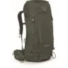 Osprey Kestrel 38 Backpack - Bonsai Green - L/XL