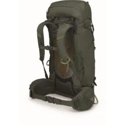 Osprey Kestrel 38 Backpack - Bonsai Green - S/M -Osprey osprey kestrel 38 20 1391536