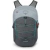 Osprey Quasar 26 Backpack - Silver Lining/Tunnel Vision Pop -Osprey osprey quasar 26 11 1379773