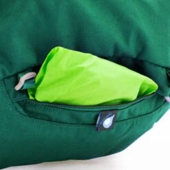 Osprey Rook 65 Backpack - Mallard Green -Osprey osprey rook 65 3 1253793