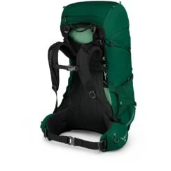 Osprey Rook 65 Backpack - Mallard Green -Osprey osprey rook 65 backpack mallard green 2 987812