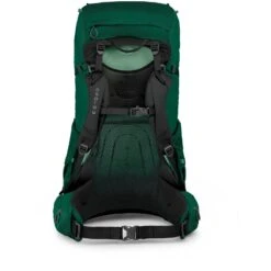 Osprey Rook 65 Backpack - Mallard Green -Osprey osprey rook 65 backpack mallard green 4 987814