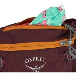 Osprey Savu 5 Waist Pack - Black -Osprey osprey savu 5 7 1392330 1