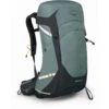 Osprey Sirrus 26 Women's Backpack - Succulent Green -Osprey osprey sirrus 26 succulent 2 1123337