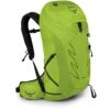 Osprey Talon 26 Backpack - Limon Green - L/XL -Osprey osprey talon 26 backpack limon green 1 986130