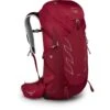 Osprey Talon 36 Backpack - Cosmic Red - S/M -Osprey osprey talon 36 9 1381303