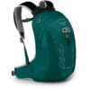 Osprey Tempest 14 Jr Kids Backpack - Jasper Green -Osprey osprey tempest 14 jr girls backpack jasper green 1 986378